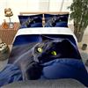 RQXRTR 3 Pezzi Set di Biancheria da Letto Copripiumino Una Piazza E Mezza Bambini 200X200cm con 2 Federe 50X80cm Copripiumini 1 Piazza E Mezzo in Poliestere Microfibre Stampa 3D Gatto Nero