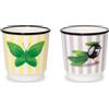 WD LifeStyle Set 2 Bicchierini Caffé Decoro Farfalla e Oliva