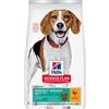 Hill's Science Plan Multipack risparmio! 2 x Hill's Science Plan Crocchette per cani - 2 x 12 kg Adult 1+ Perfect Weight Medium con Pollo