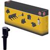 NGK Bobina di accensione NGK | U5019, 48063 | Compatibile con: FORD C-MAX, FOCUS C-MAX, FOCUS II, FOCUS II Cabriolet, FOCUS II Stufenheck, FOCUS II Turnier, GALAXY II