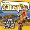 Active Brains I am a Giraffe (Tascabile) I Am... Animal Facts