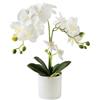 Lovmeety Fiori di Orchidea Artificiali in Vaso, Pianta di Fiori di Orchidea Finta Bianca dal Tocco Realistico Fiori di Orchidea Phalaenopsis Finti in Vaso per Interni Scrivania Ufficio Casa Matrimonio