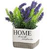 Morbuy Piccoli Pianta Artificiali in Vaso, Piante Artificiali di Foglia Verde da Interno con Vasetto, Piantine Finte per Soggiorno, Appartamento, Balcone, Ufficio, Scrivania (Lavanda Viola)
