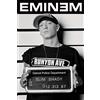 Pyramid International Pyramid Eminem Mugshot Maxi Poster