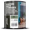 JOVIRA PINTURAS Pittura di copertura opaco. Pittura per interni ed esterni con eccellente potere coprente. (750 Millilitri, Verde Salvia)