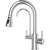 FORIOUS Rubinetto Lavello Cucina, Miscelatore a tre vie, Girevole a 360° Rubinetto Cucina con Doccetta Estraibile e Filtro Dell'acqua, Miscelatore a doppia maniglia, Cromo Lucido
