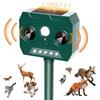 Raytex RAYGARD Dissuasore Gatti, 2025 Repellente per Volpi Ultrasonico Solare con Luce LED, 12m 120° Dissuasori per Piccioni Giardino IP45 Impermeabile per Gatti Martore Volpi Cani Procioni