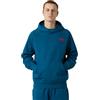 The North Face Raglan Box NSE Felpa con Cappuccio Uomo (Pacco da 1)