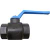 S&M 174070 - Valvola antigelo 3/4 in Polipropilene Nero, Manico Blu.