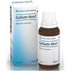 GUNA SPA Heel Galium Gocce 30 Ml