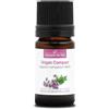 La Compagnie des Sens ORIGANO COMPATTO (Origanum compactum) BIO - 5mL - Olio Essenziale - 100% Puro, Naturale, Chemiotipizzato e Integrale
