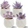 Duscdesp Set di 4 piante grasse artificiali, piante finte viola per interni, pianta da scrivania in plastica per decorazione bagno ufficio