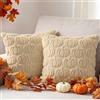 Benjia 2 Pezzi Federe Cuscini Autunno Copricuscini 45x45cm Federa Zucca Federa in Morbido Peluche federe decorative per cuscino autunnale per Ringraziamento Halloween Casa Soggiorno Divano (Beige)