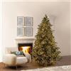 EDG - Enzo De Gasperi Albero di Natale Pino Argentato 5000 Mini LED in PE Verde D166xH240 cm