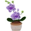 Zeizafa Kit di Fiori per Piante all'Uncinetto Fai da Te Con Filato, Ago per Maglieria, Marcatore, Istruzioni - Starter Kit Bouquet