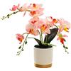 FACULX Orchidea artificiale Phalaenopsis - Vaso per piante, 33 cm, rosa, decorazione per interni e ufficio
