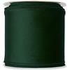 FloristryWarehouse Nastro di velluto verde abete largo 100 mm su rotolo da 8 m con bordo cablato