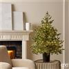 EDG Enzo de Gasperi Albero di Natale Pino Argentato con Vaso e 480 luci LED H120xD99 cm