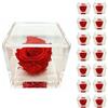 Premium-rose.com PremiumRose 15 Cubi Rosa Rossa Stabilizzata e Profumata da 6 cm con Rosa Eterna Vera, Idea Regalo Mamma, Fidanzata, Amica, Idea Regalo per Compleanno, Laurea, Matrimonio, Made in Italy (15 Pezzi)