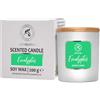 AROMATIKA trust the power of nature Candela Profumata Eucalipto 200g - сon Olio Essenziale - Cera di Soia -Candle in Confezione Regalo - Odore Fresco - Aromaterapia - Idea per il Compleanno - Natale