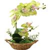 Generico 1 Pezzo Orchidee Bianche Artificiali in Vaso Simulazione Viola in Vaso Orchidea Farfalle Composizione Floreale Decorative Arredamento per la Casa Orchidea Verde 27 cm (verde)