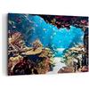 ARTTOR Quadro su Tela 100x70cm Stampe da Parete Oceano Barriera corallina Pesci corallo Grandi Decorazione Murale Camera da Letto 1 pezzo Quadri Moderni Soggiorno Immagini Wall Art Canvas AA100x70-2872