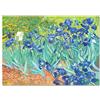Giallobus - Quadro - Vincent Van Gogh - Iris - Vetro acrilico - 100L x 70l cm - Pronto da appendere - Quadri moderni per la casa