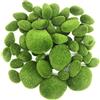 Woohome Muschio Artificiale Set, 50 Pz Muschio Rocce Finto Muschio Artificiale Rocce e Simulazione Coccinella, Finto Muschio Decor per Giardini Fatati e Artigianato