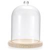 TOLIDA Cupola di vetro con base in legno naturale, manico robusto, decorazione per aromaterapia, candelabro, catena luminosa come regalo decorativo per moglie, figlia, madre, matrimonio, San