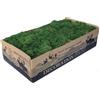 Generico Licheni Muschio Stabilizzato Naturale Scatola da 300 gr. per modellismo, presepe, decorazioni Paesaggi, Scenari o applicazione a parete, pannelli erbosi, Verde Scuro