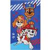 sarcia.eu Paw Patrol Skye Chase Marshal COTONE Asciugamano per bambini, asciugamano per le mani PER L'ASILO 30x50 cm OEKO-TEX (A)