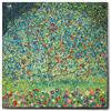 Giallobus - Quadro - Gustav Klimt - Melo I - Tela Canvas Telaio Premium Alto Spessore - 70x70 - Pronto da appendere - Quadri moderni per la casa