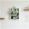 VerdantCharm Heuchera Artificiale con Cornice 25x29cm Dipinti decorativi per ufficio e soggiorno: colorati, non richiedono manutenzione e possono essere utilizzati come decorazioni per la scrivania