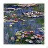 Niik Stampa le ninfee 3 di claude monet 60 x 60 cm falso d'autore su tela
