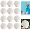 LINGJIA Set Conchiglie Bianche Grandi - 12 Pezzi per Artigianato, Campanelli e Barbecue (10-11cm)