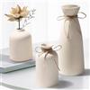 Rzspher Vaso Decorativo da Interno 3 Pezzi,Vasi in Ceramica Decorazione Domestica,Vaso Decorativo per Erba di Pampa e Fiori Secchi Moderno Ingresso Tavolo Mensola Camera da Letto Soggiorno Arredamento