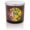 Generico Pernici Candela Profumata Elementi Coffee & Cardamom 350 g. - 2 Stoppini