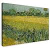 Printed Paintings Stampa su Tela con Telaio (100x70cm): Vincent Van Gogh - Campo con Fiori Vicino a Arles - Quadri Moderni