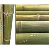 bambus-discount.com 1 canna di bambù da 180 cm, verde naturale, non trattata con spessore XL diametro da 8 a 9 cm