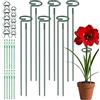 LATERN 6 Pezzi Stecche di Supporto per Piante, 30CM/ 60CM/ 90CM Paletto di Supporto a Stelo Singolo 6CM Anello di Supporto Gabbia per Piante con 10 Clip e Lacci per Fiore Amarillide Li Rosa Peonia