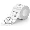NIIMBOT Etichette rotonde per stampanti di etichette B21/B1/B3S, adesivi termici 21 x 21 mm, 1 rotolo con 300 etichette