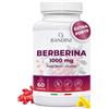 Bandini® Berberina 1000mg pura alto dosaggio | Pura Berberina HCl da Berberis Aristata al 97% + Cromo e Pepe Nero | Massimo assorbimento | Funzione digestiva, epatica, intestinale | 60 capsule vegane