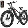 FD FREEDARE FREEDARE Saiga Bicicletta Elettrica per Adulti Motore 250W BaFang 90NM Batteria 48V 20Ah 150KM Sensore di Coppia Controllo Smart App con GPS Ebike con Pneumatici KENDA 26x4 Fat Tire (Nero)