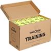 Tennis-Point Training - Scatola da 72 Palline da tennis - Palline senza pressione - giallo - (Scatola da 72)