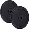 ScSPORTS®, set pesi 40 kg, 2 x 20 kg Pesi in ghisa, con foro 30/31 mm