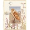 Bothy Threads Set punto croce Bothy Threads "Animal World- Barn Owl", 26.9x34.2cm, dwwil3, schema di conteggio