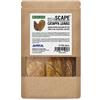 ARKA Foglie di mandorlo indiano per acquario - ARKA mySCAPE-CATAPPA 10 pezzi (16-20 cm) - cura naturale dell'acqua dolce - rafforza pesci & gamberetti - abbassa pH - stimola la riproduzione