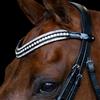 Imperial Riding IRH Maxima, Fascia in Pelle con Strass in Vetro e Chiusura a Penna, Cristallo, Frangia