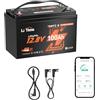 LiTime Batteria litio 12V 100Ah Bluetooth compatibile Victron comunicazione CAN/RS485, Protezione basse temperature 15000 cicli, IP65 impermeabile, Adatta Camper, Barche, Sistem,Off-Grid