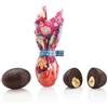 Venchi Ovetti di Cioccolato, 1 Kg, Gusto Extra Fondente 70% con 'Nocciola Piemonte IGP' Intera, Senza Glutine, Vegano, Collezione Pasqua, Idea Regalo